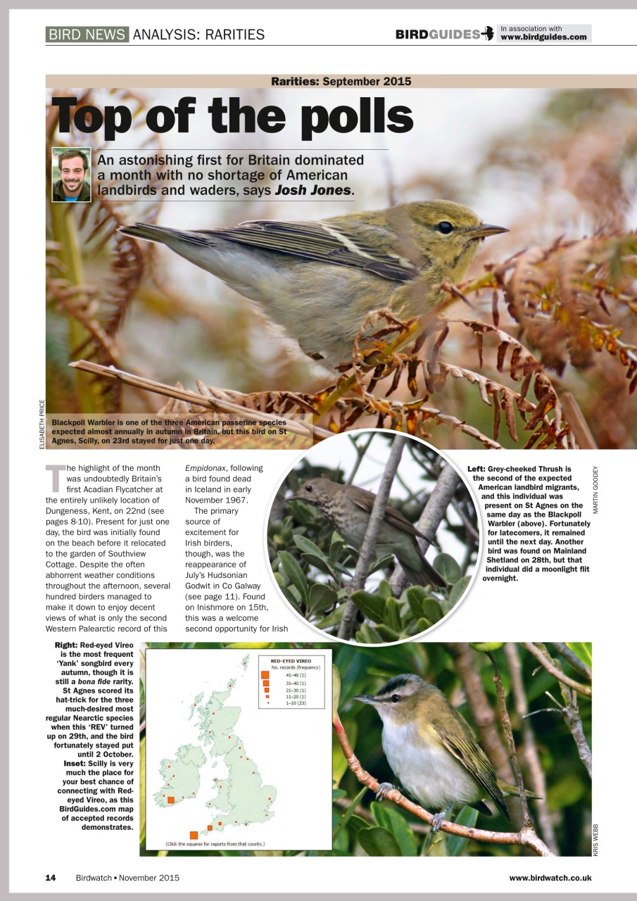 Birdwatch Magazine Preview Pages