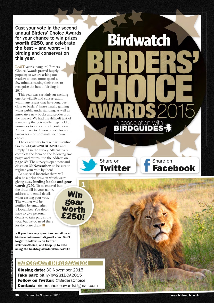 Birdwatch Magazine Preview Pages