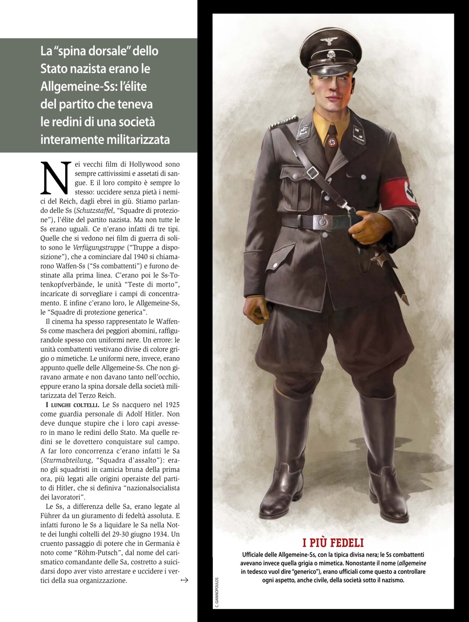 FOCUS STORIA Preview Pages