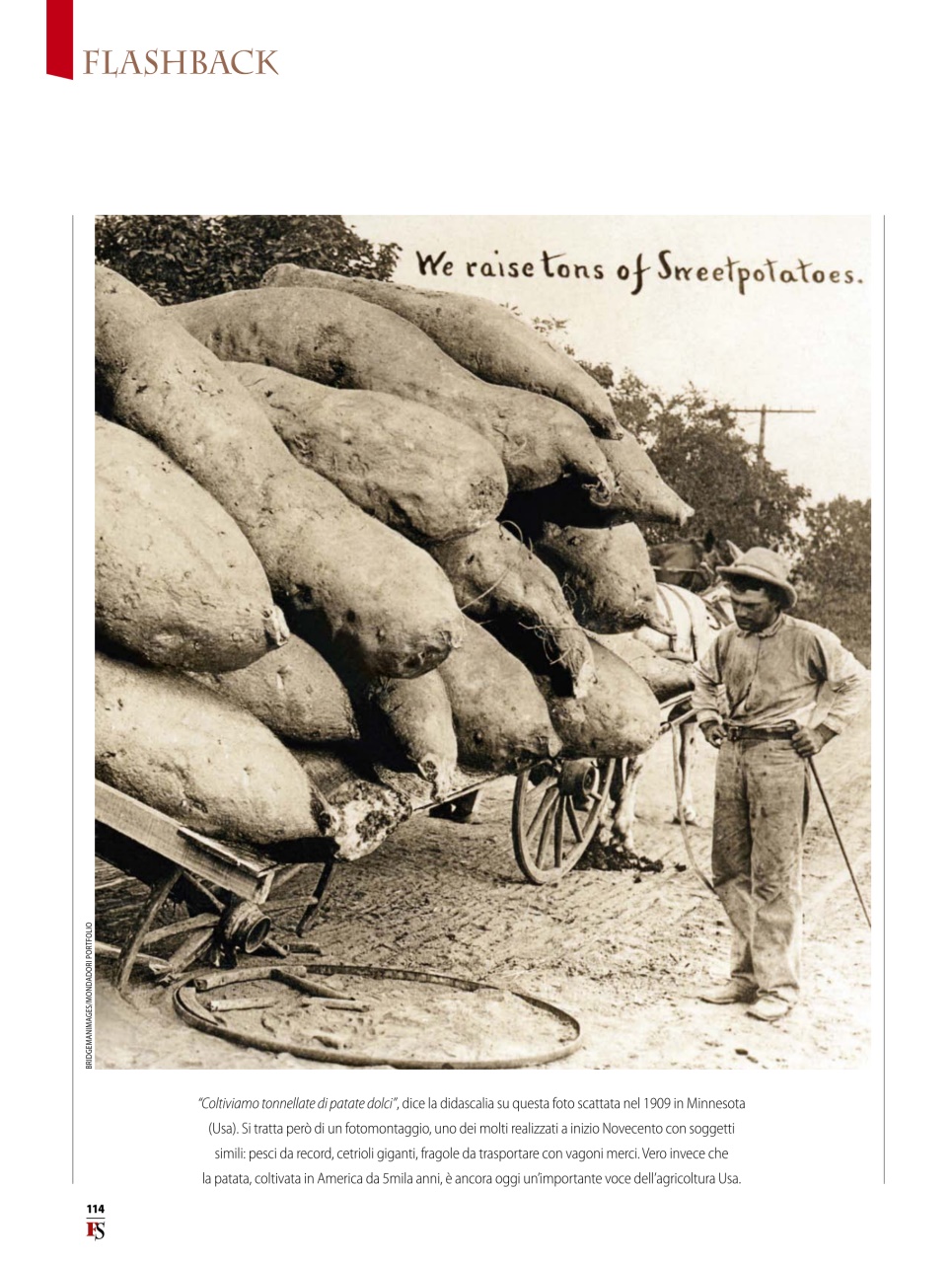 FOCUS STORIA Preview Pages