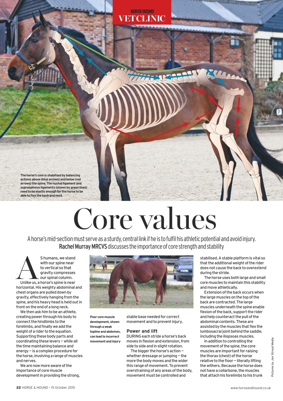 Horse & Hound Preview Pages