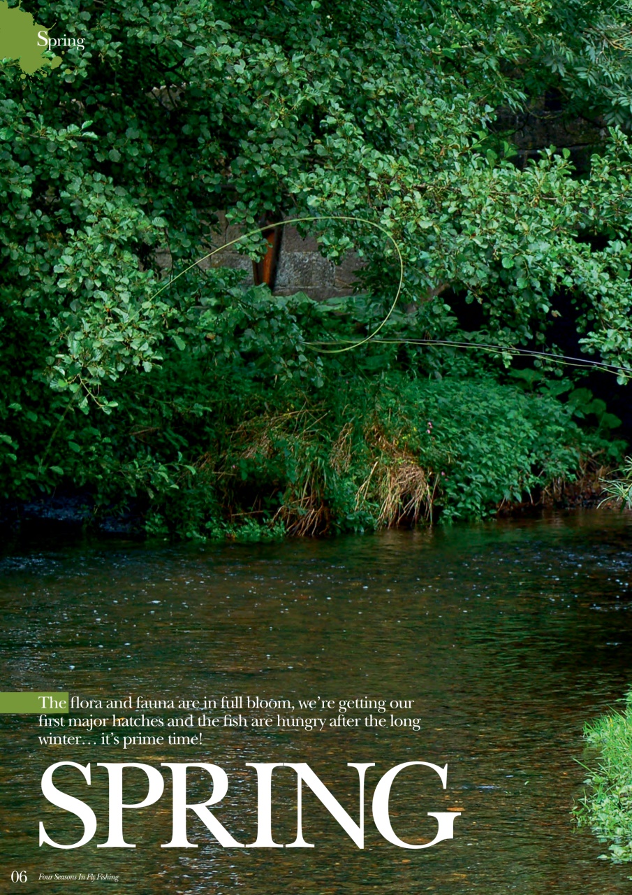 Fishing Reads Preview Pages