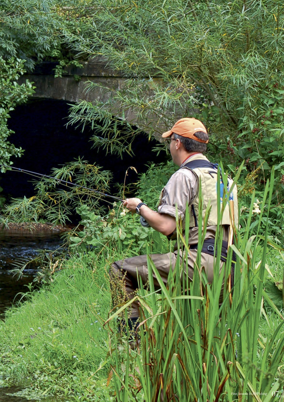 Fishing Reads Preview Pages