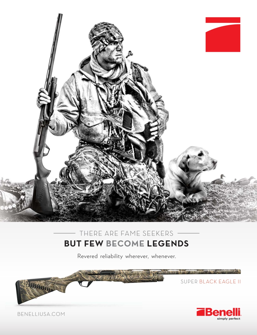 American Waterfowler Preview Pages