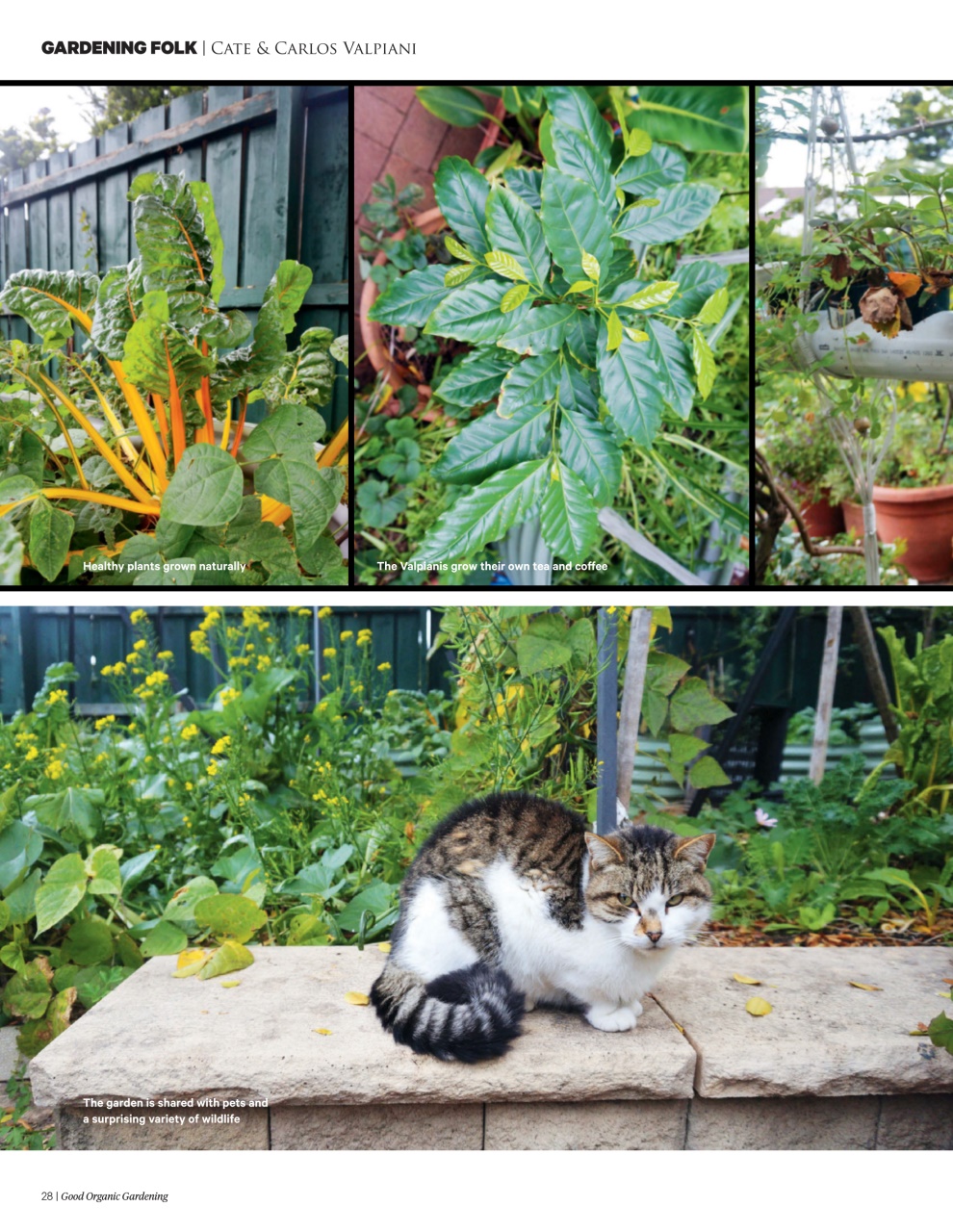Good Organic Gardening Preview Pages