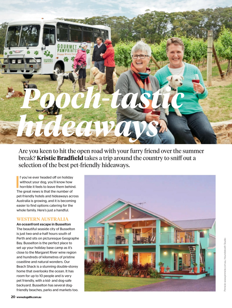 Dogs Life Preview Pages