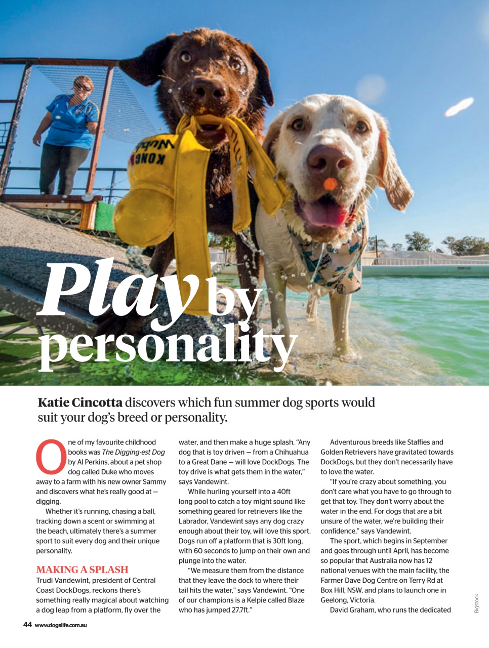 Dogs Life Preview Pages