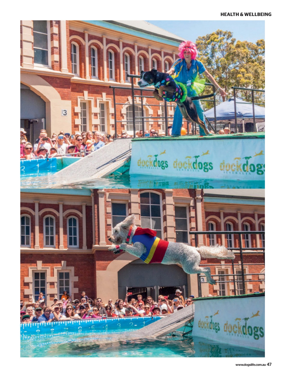 Dogs Life Preview Pages