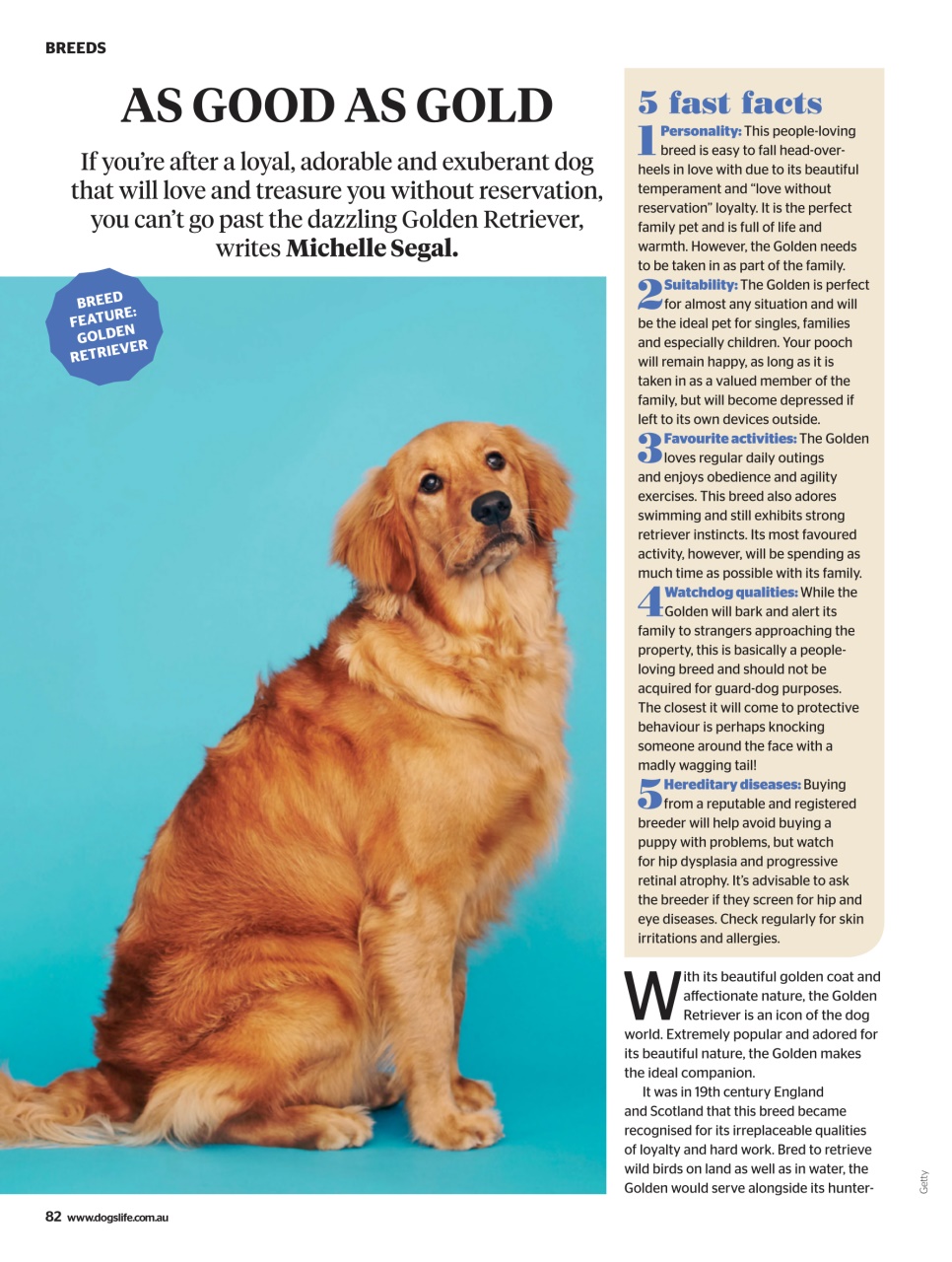 Dogs Life Preview Pages