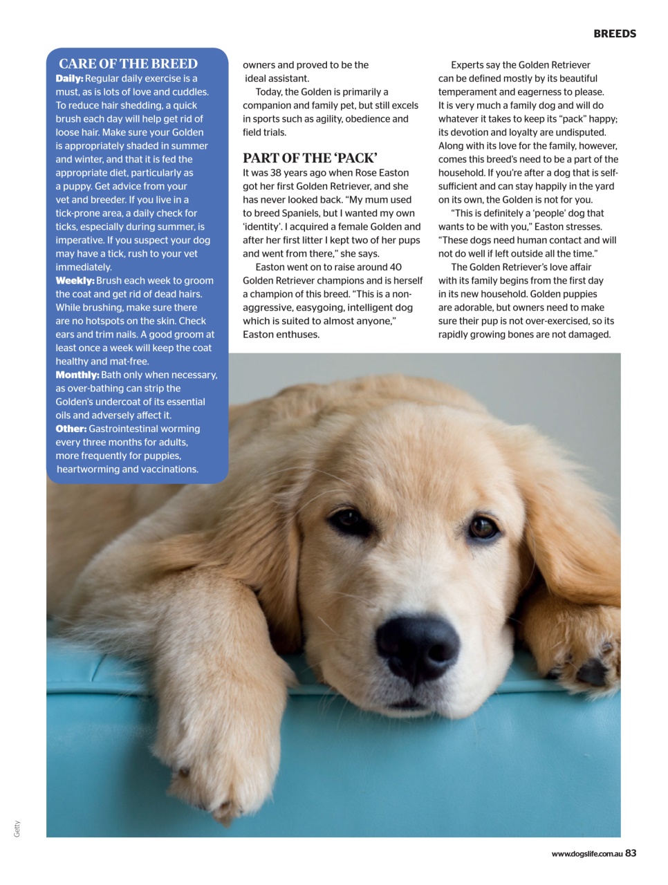 Dogs Life Preview Pages