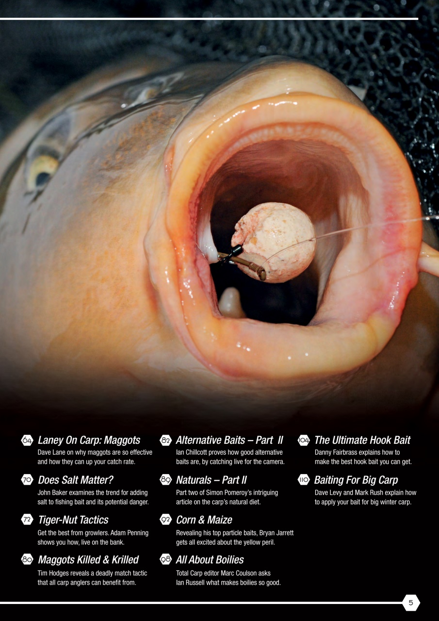 Fishing Reads Preview Pages