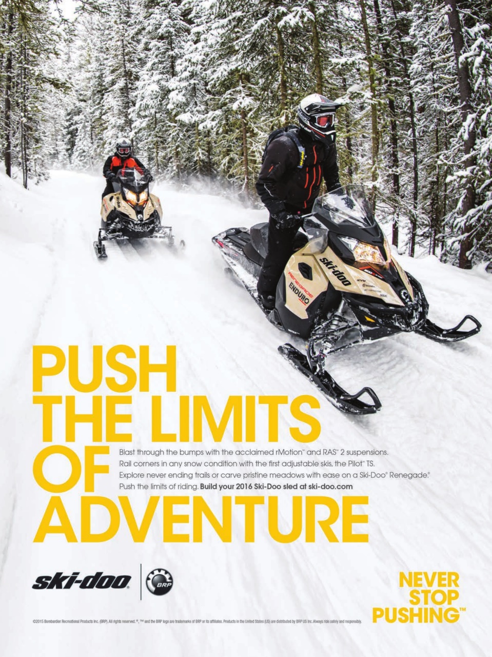 SnowGoer Preview Pages