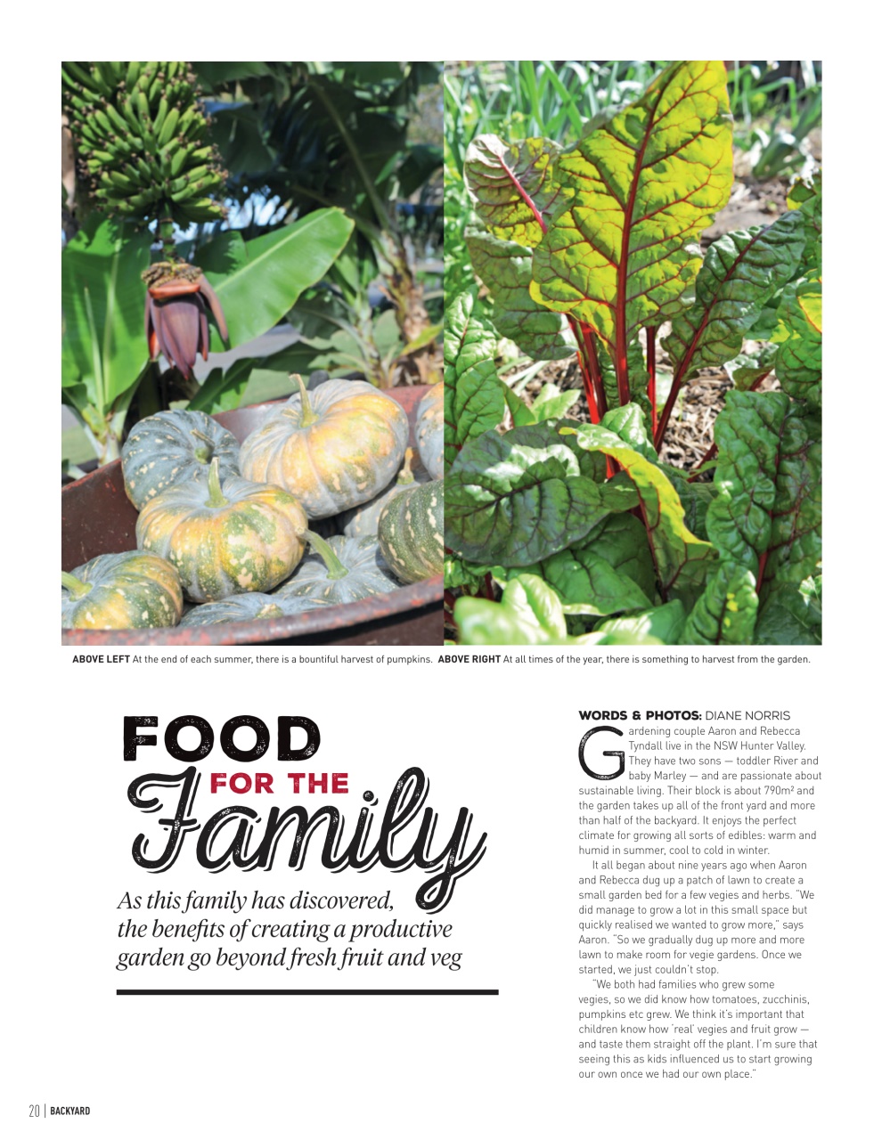 Backyard & Outdoor Living Preview Pages