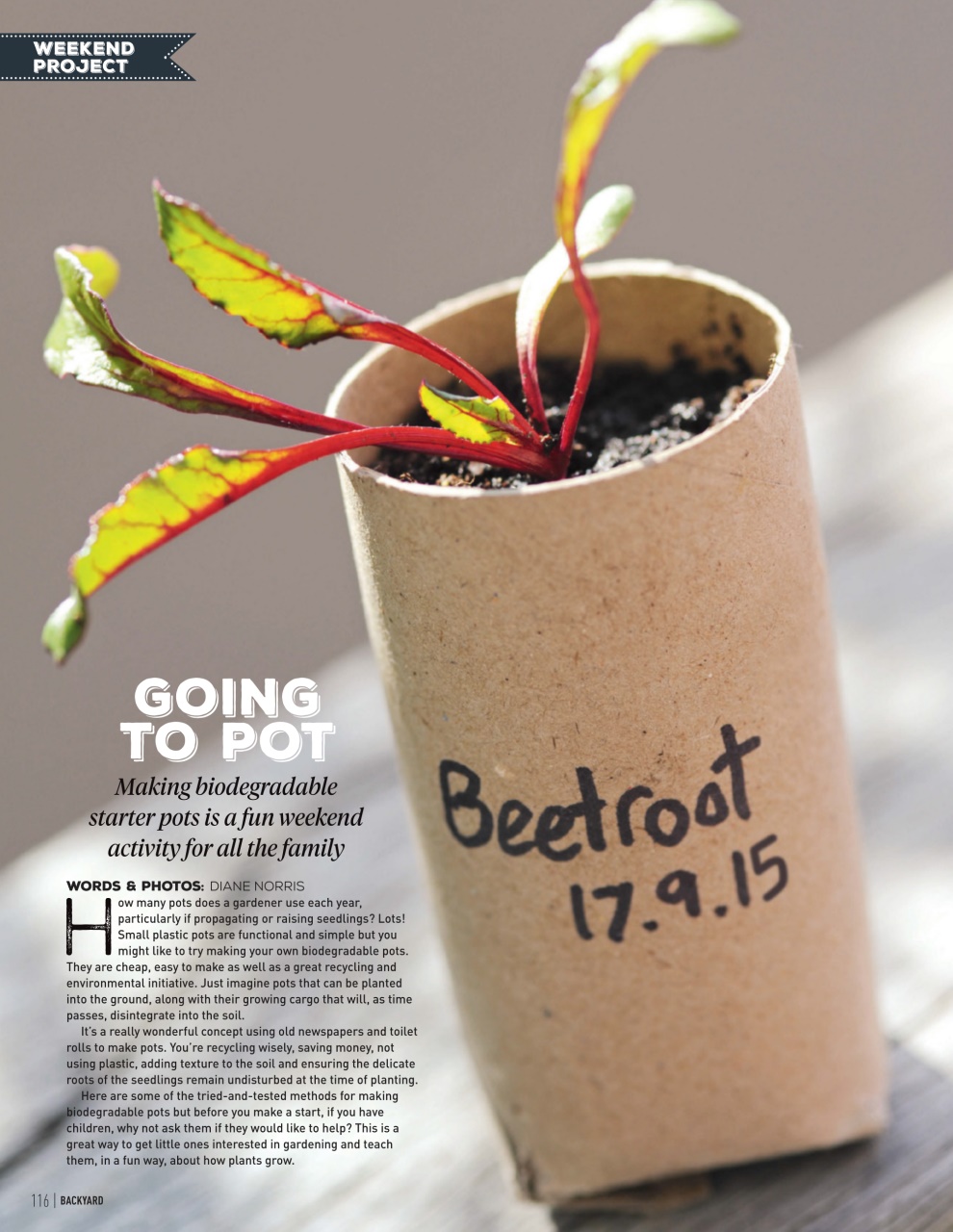 Backyard & Outdoor Living Preview Pages