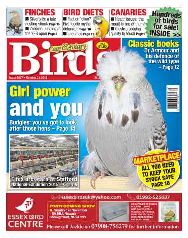 Cage & Aviary Birds issue No. 5877 Girl power and you.