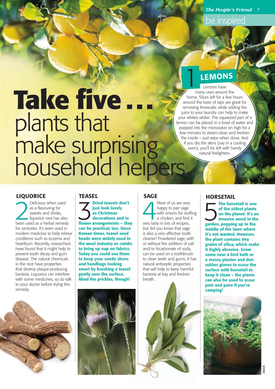 The People’s Friend Special Preview Pages