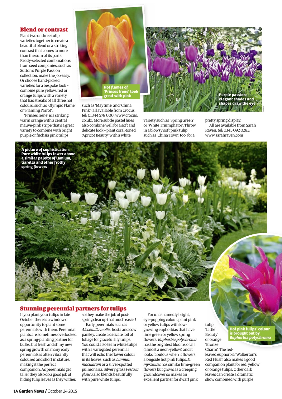 Garden News Preview Pages
