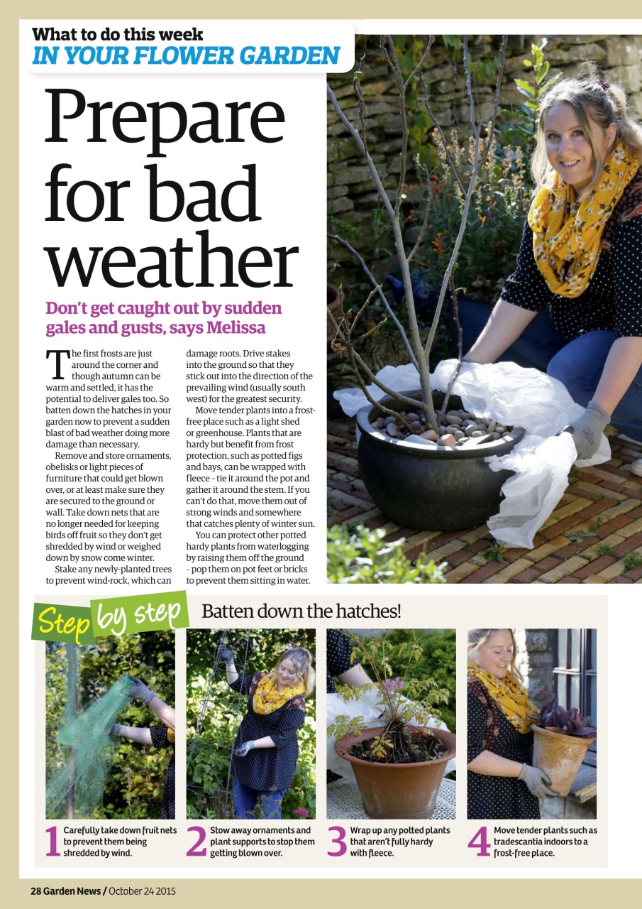 Garden News Preview Pages