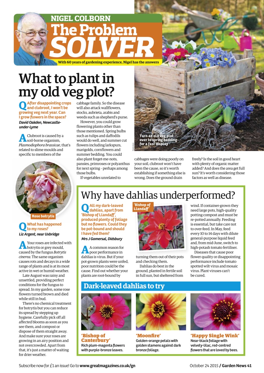 Garden News Preview Pages