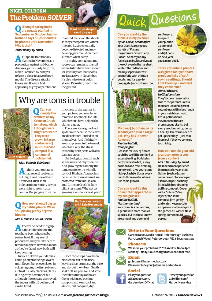 Garden News Preview Pages