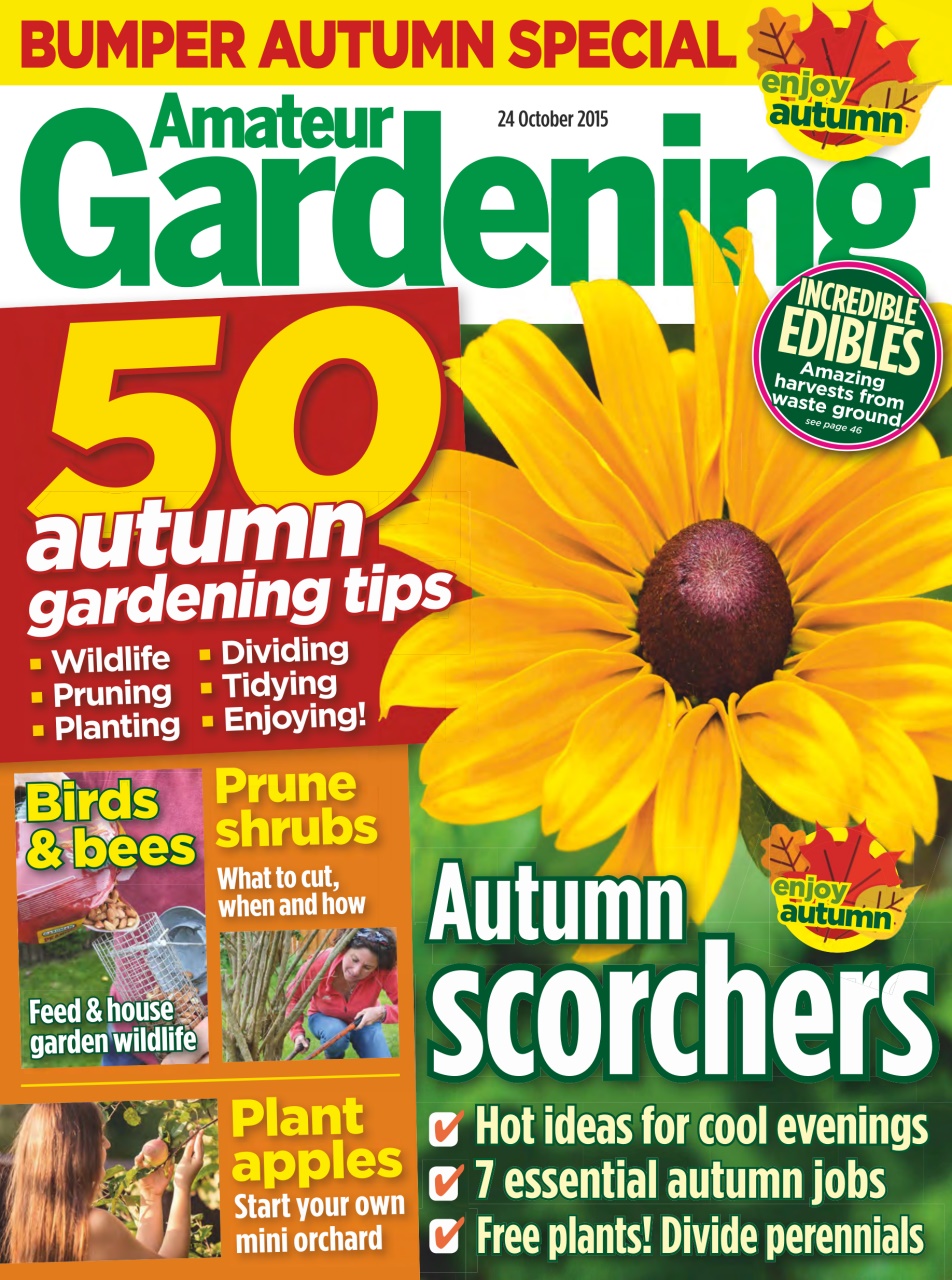 Amateur Gardening Preview Pages