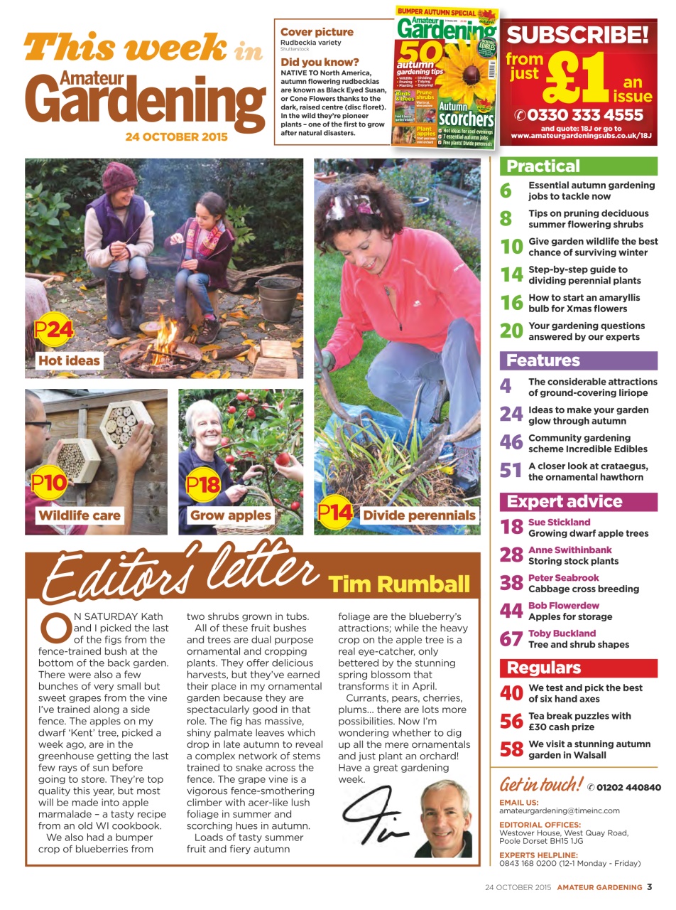 Amateur Gardening Preview Pages