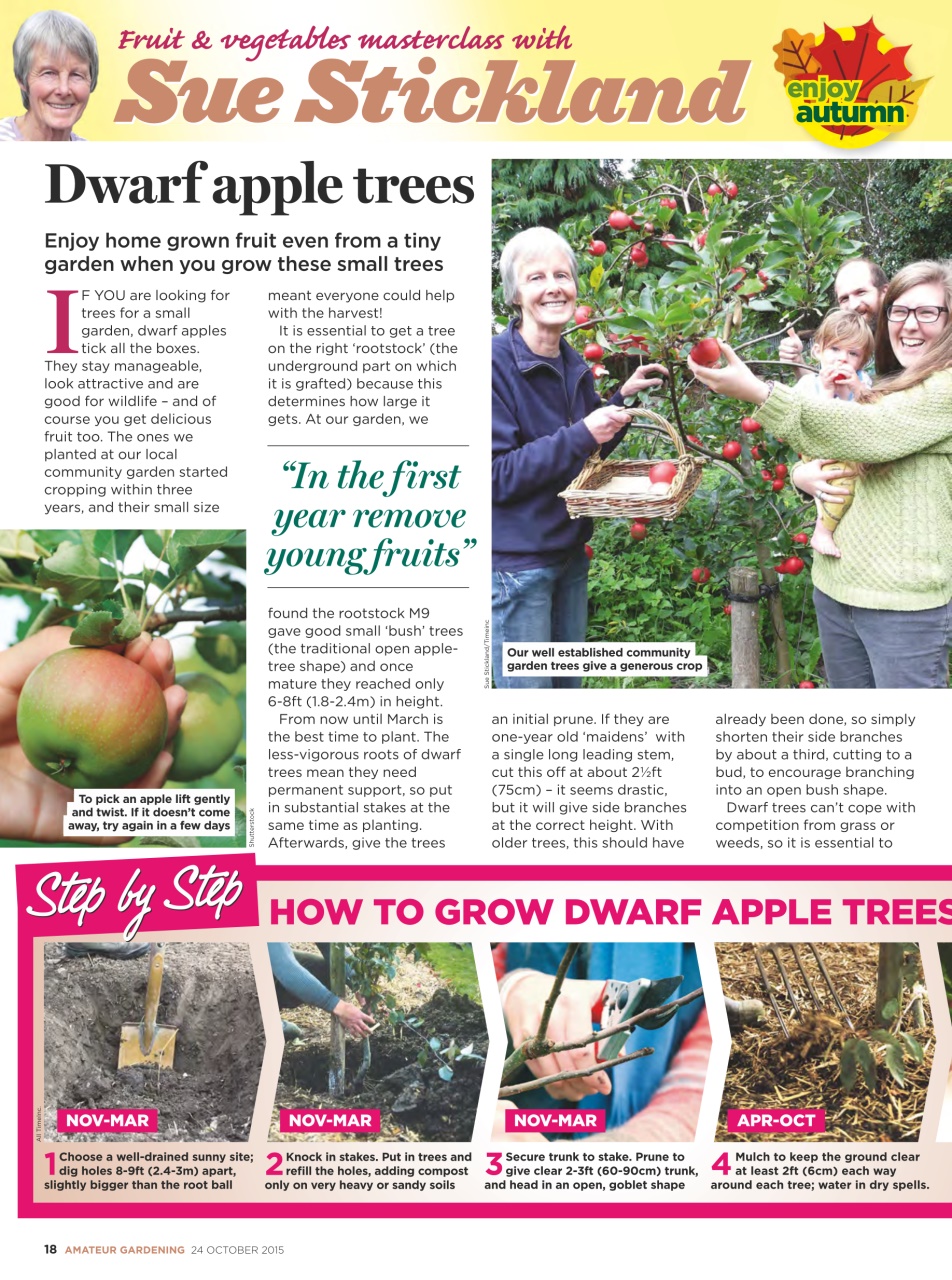 Amateur Gardening Preview Pages