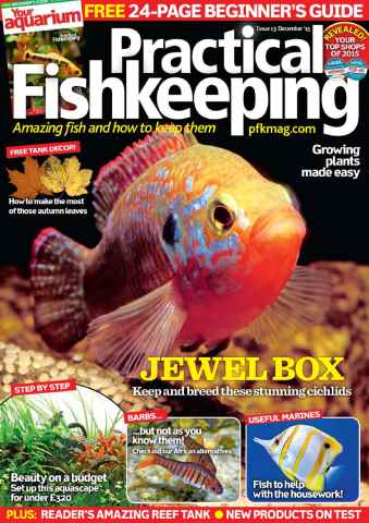 Practical Fishkeeping issue December 2015