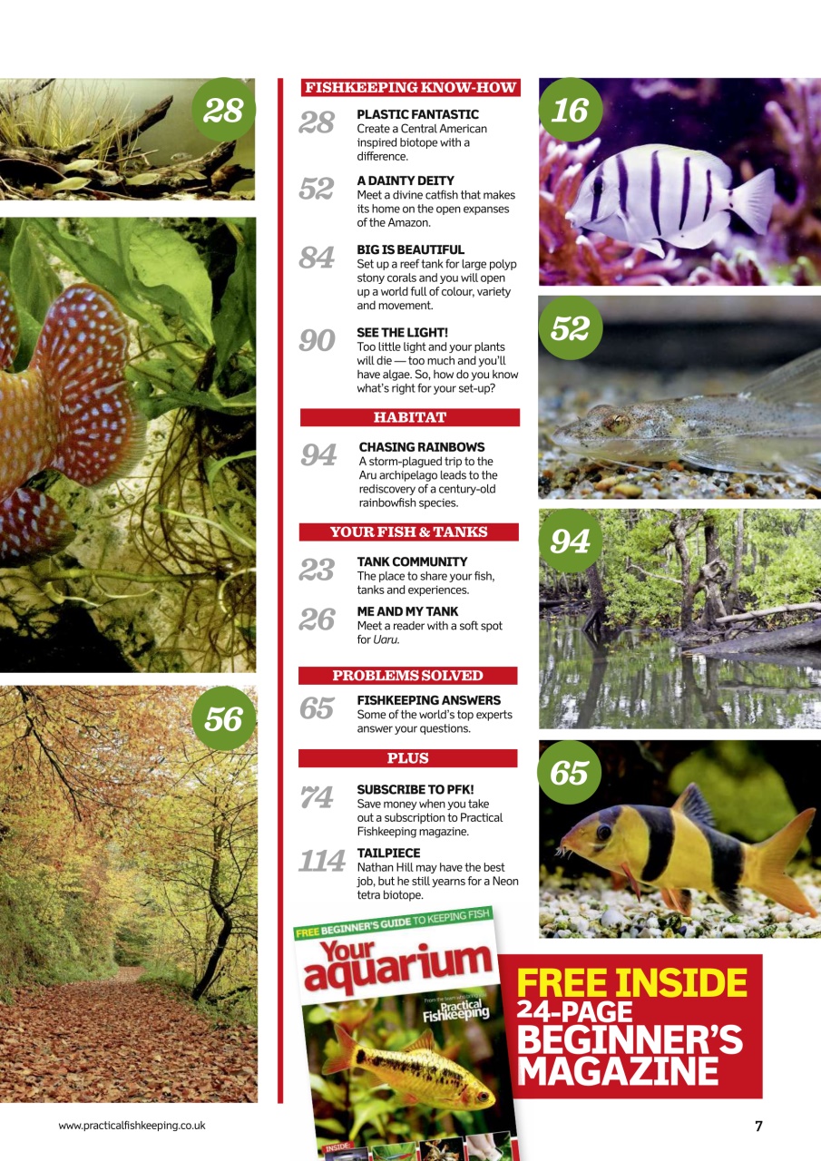 Practical Fishkeeping Preview Pages