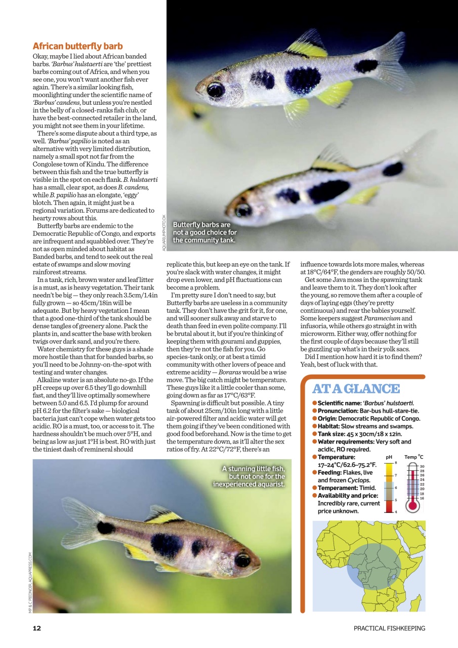Practical Fishkeeping Preview Pages