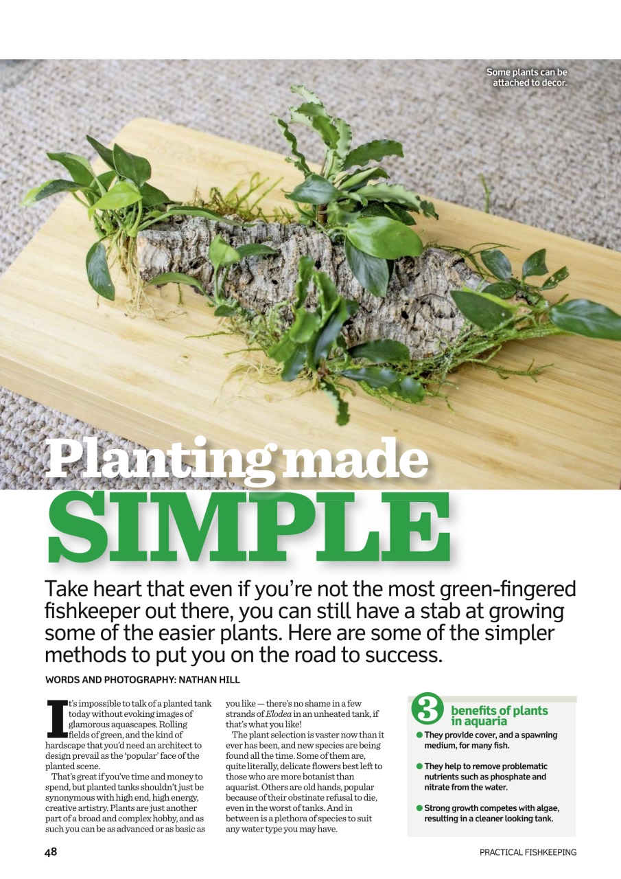 Practical Fishkeeping Preview Pages