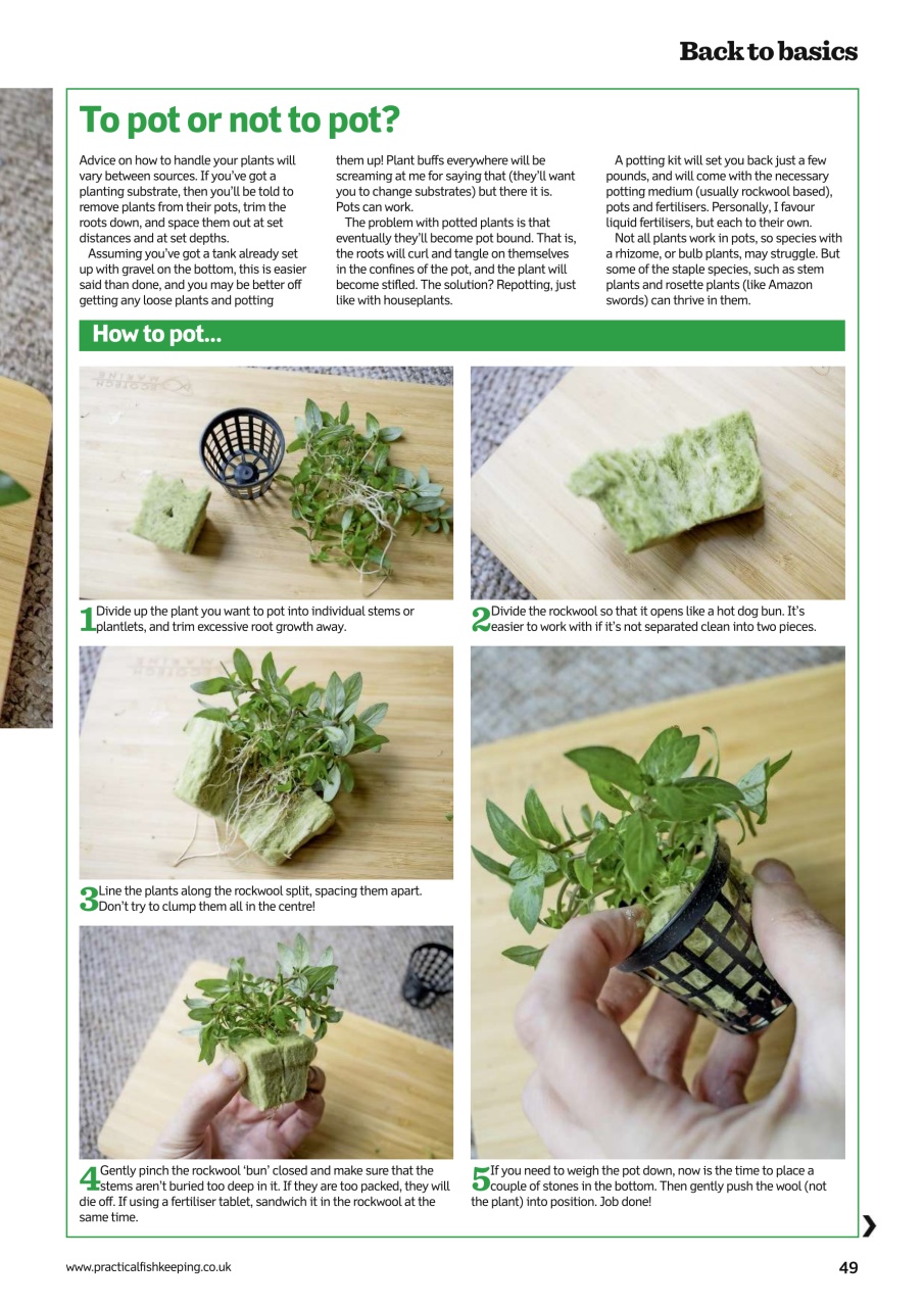 Practical Fishkeeping Preview Pages