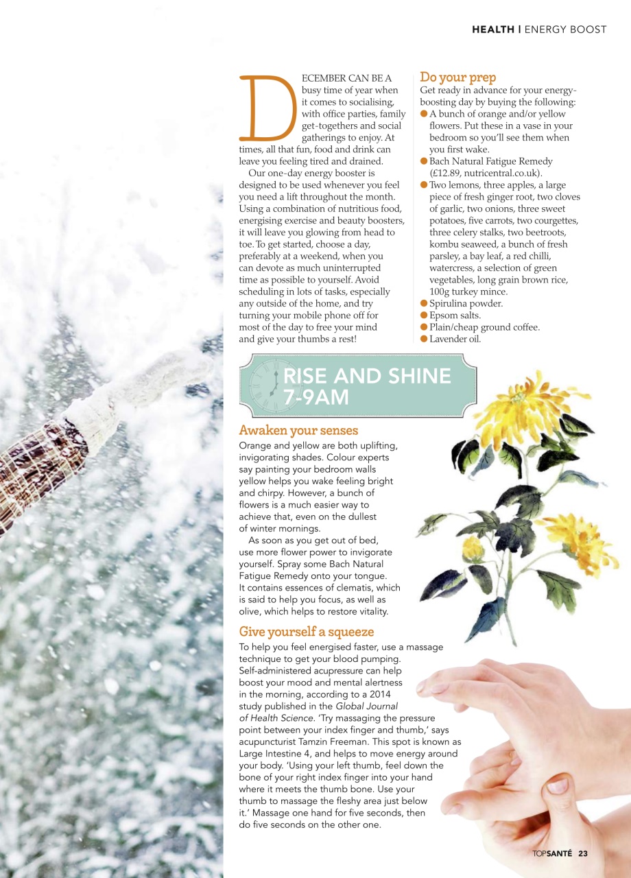 Top Sante Preview Pages