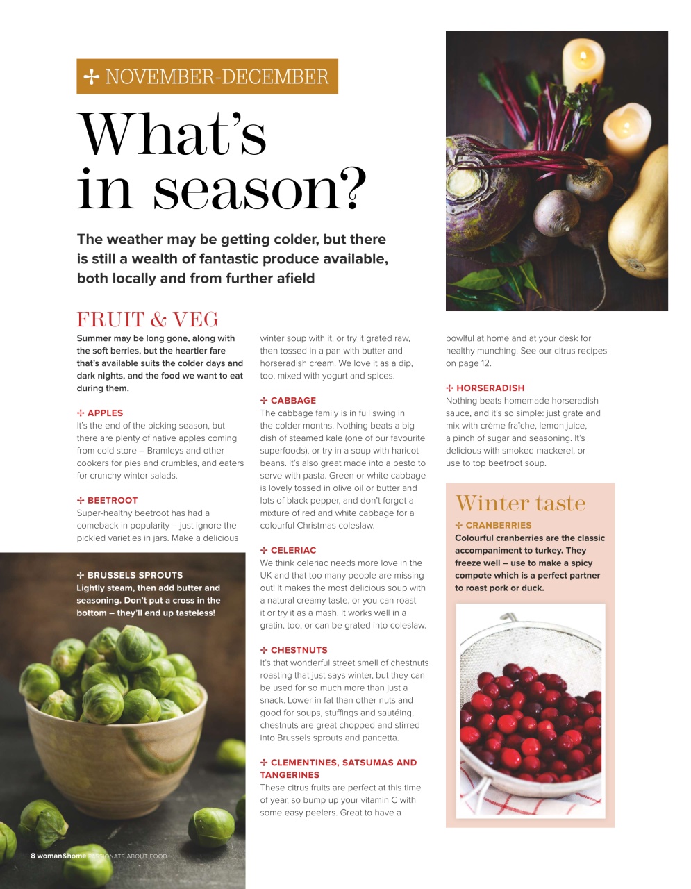 Woman & Home Feel Good Food Preview Pages