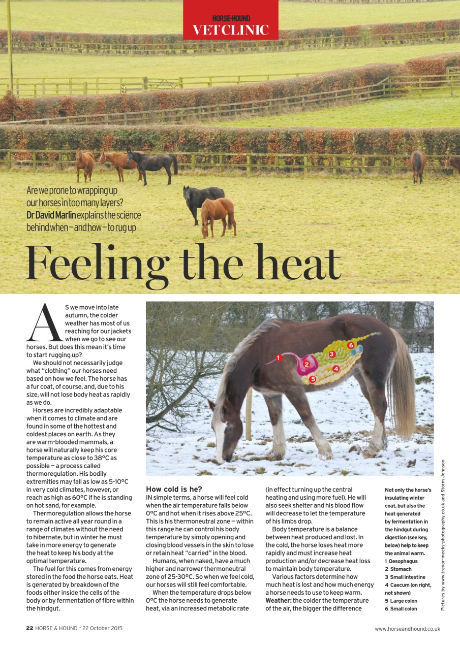 Horse & Hound Preview Pages