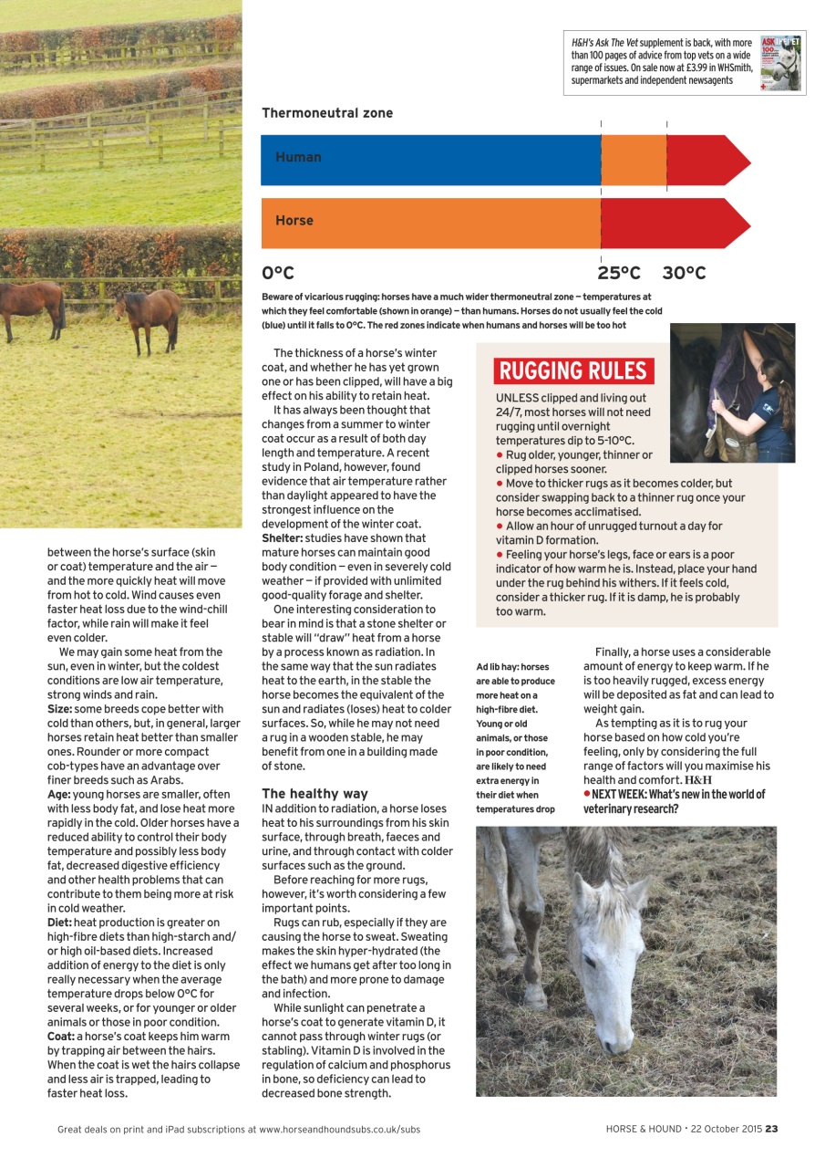 Horse & Hound Preview Pages