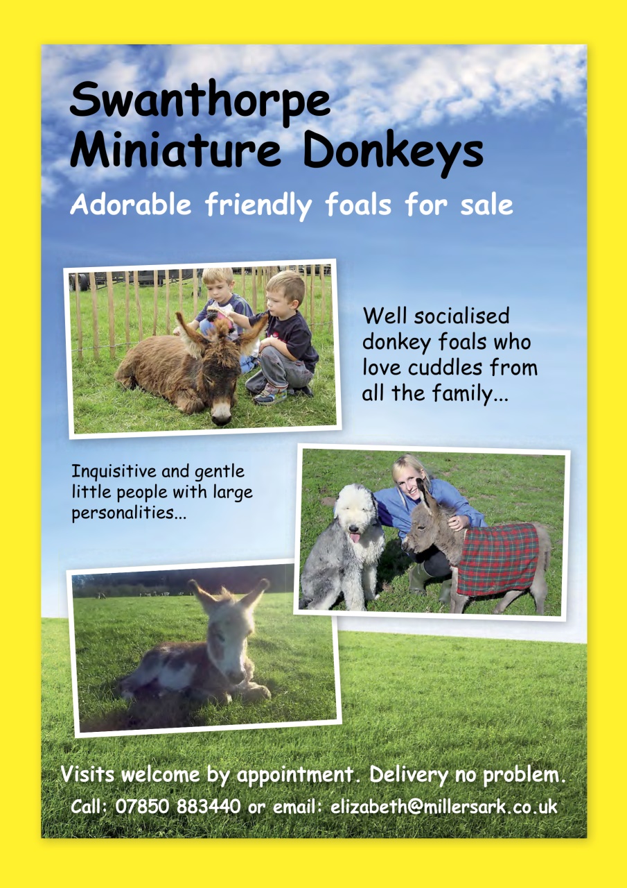 The Country Smallholder Preview Pages