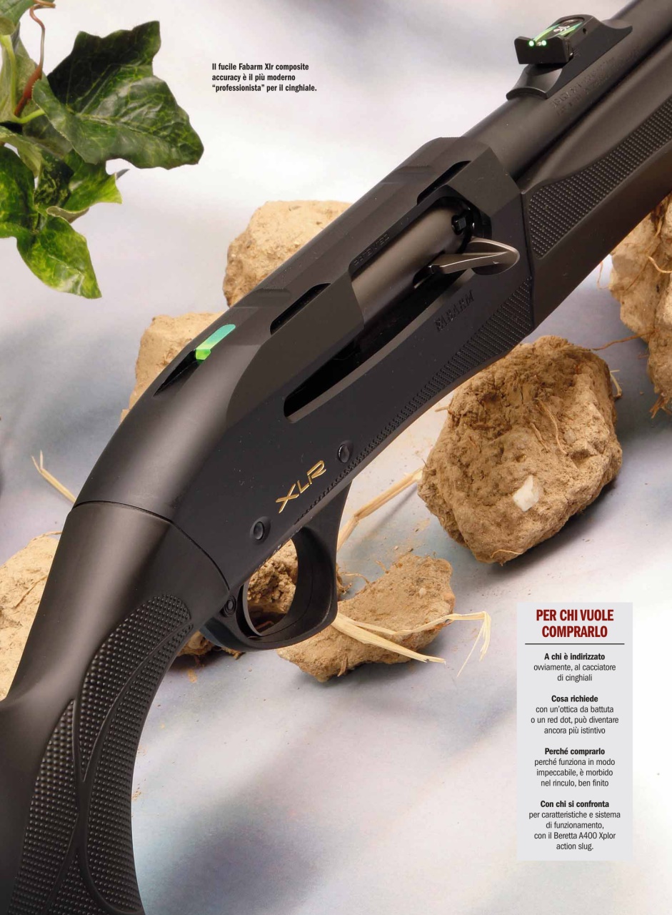 Armi E Tiro Preview Pages