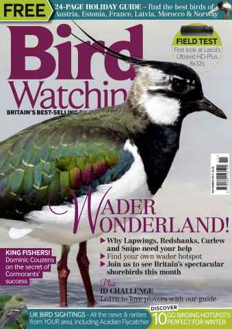 Bird Watching issue November 2015