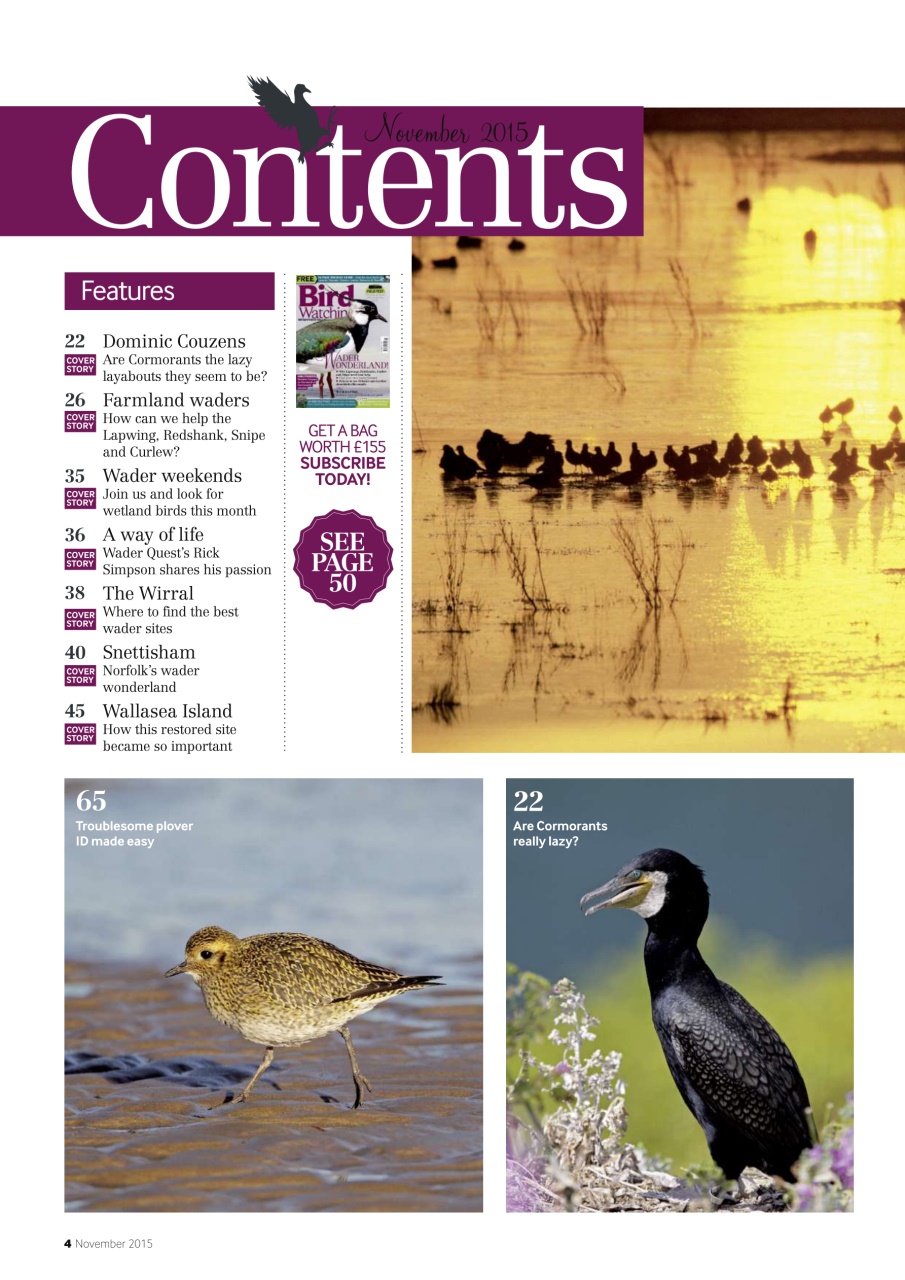 Bird Watching Preview Pages
