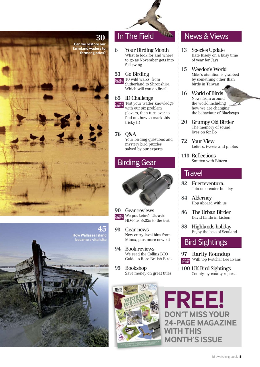 Bird Watching Preview Pages