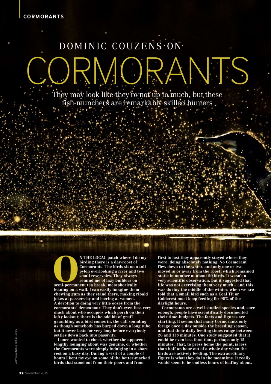 Bird Watching Preview Pages