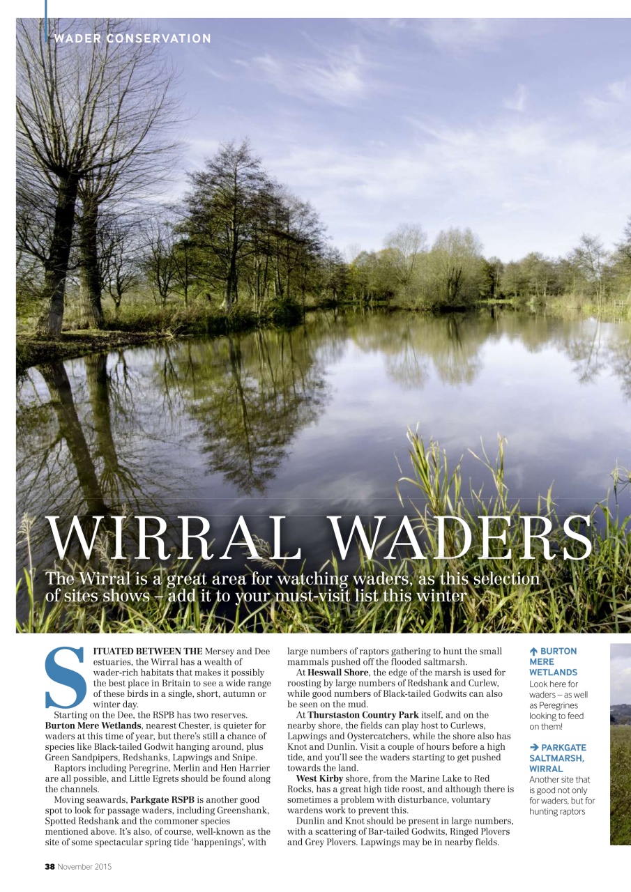 Bird Watching Preview Pages