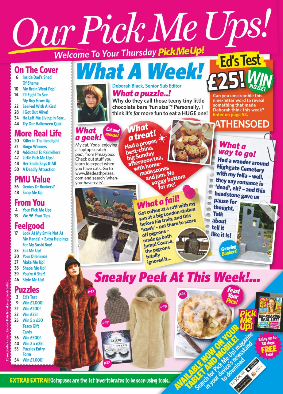 Pick Me Up Preview Pages