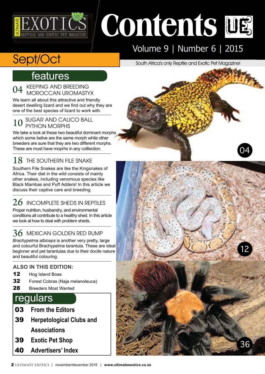 Ultimate Exotics Preview Pages