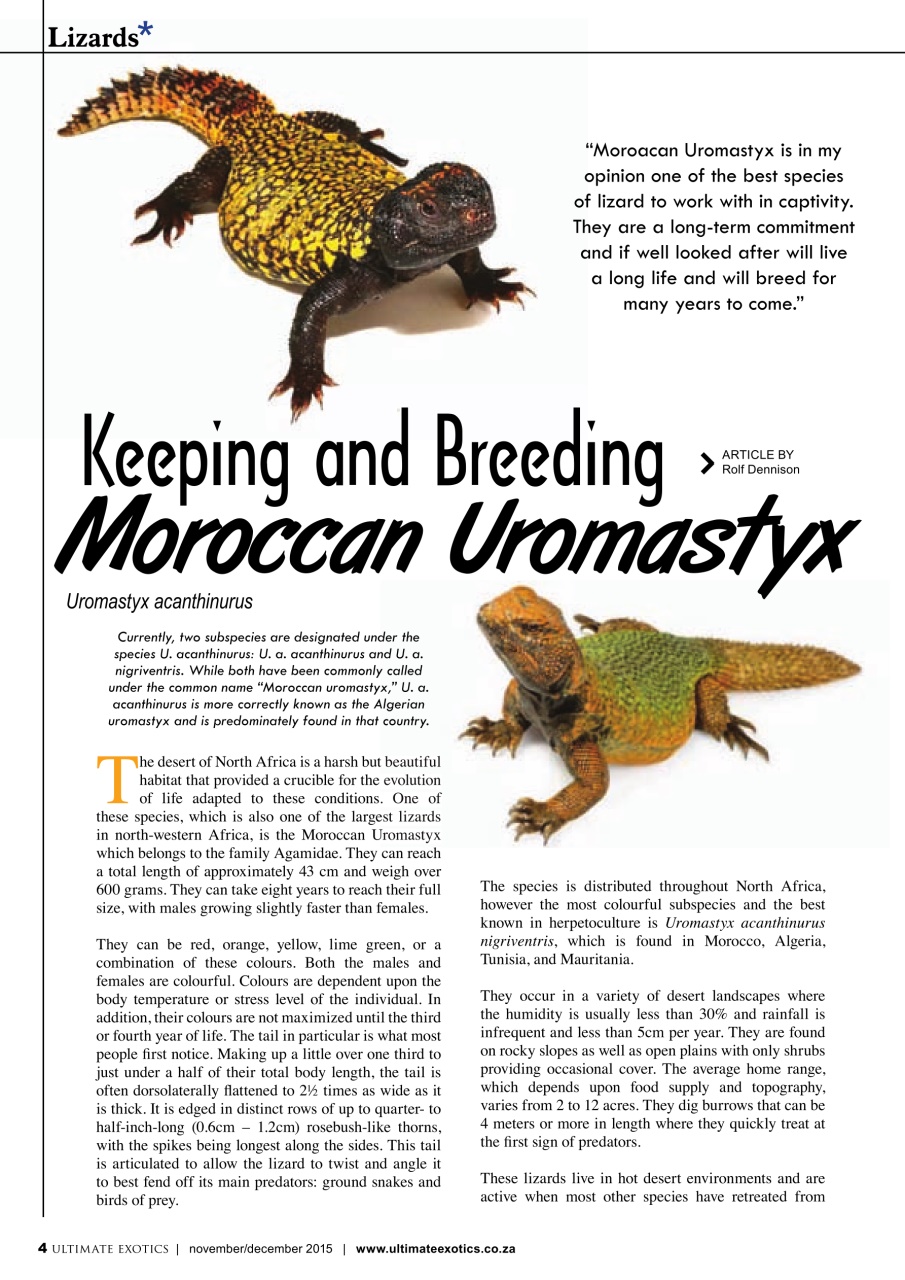 Ultimate Exotics Preview Pages