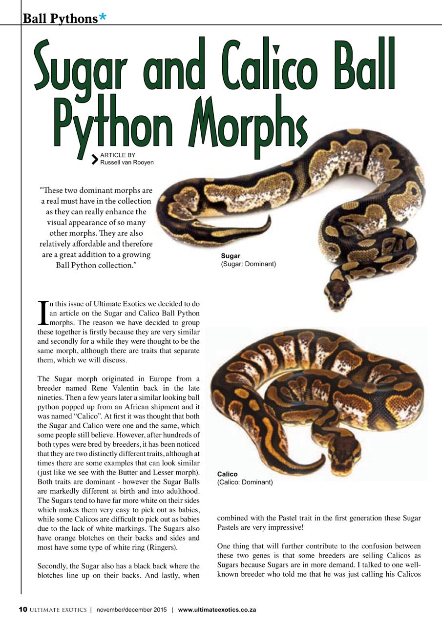 Ultimate Exotics Preview Pages