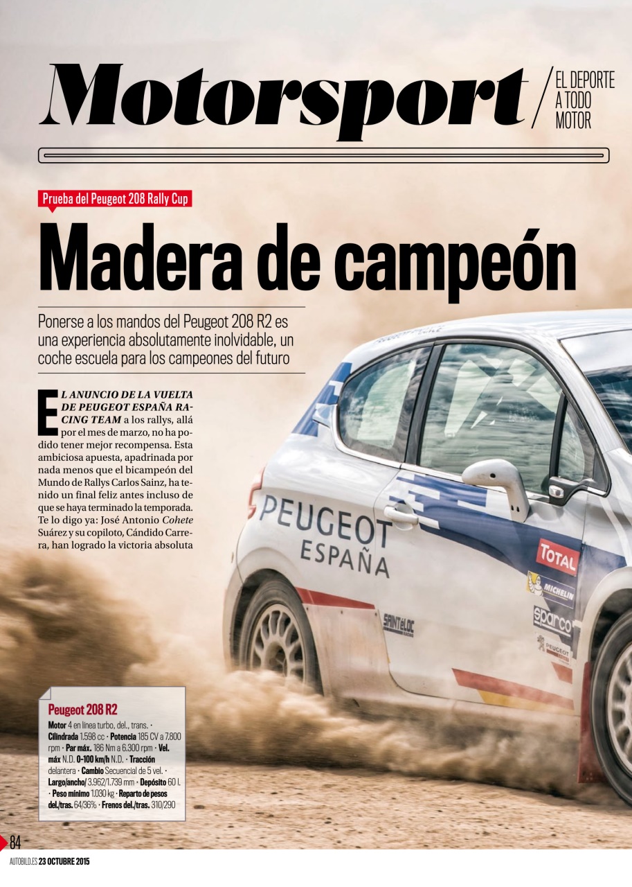 Auto Bild Preview Pages