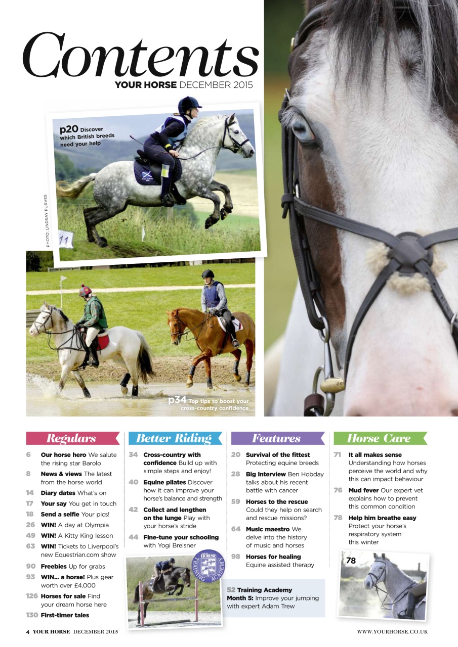 Your Horse Preview Pages