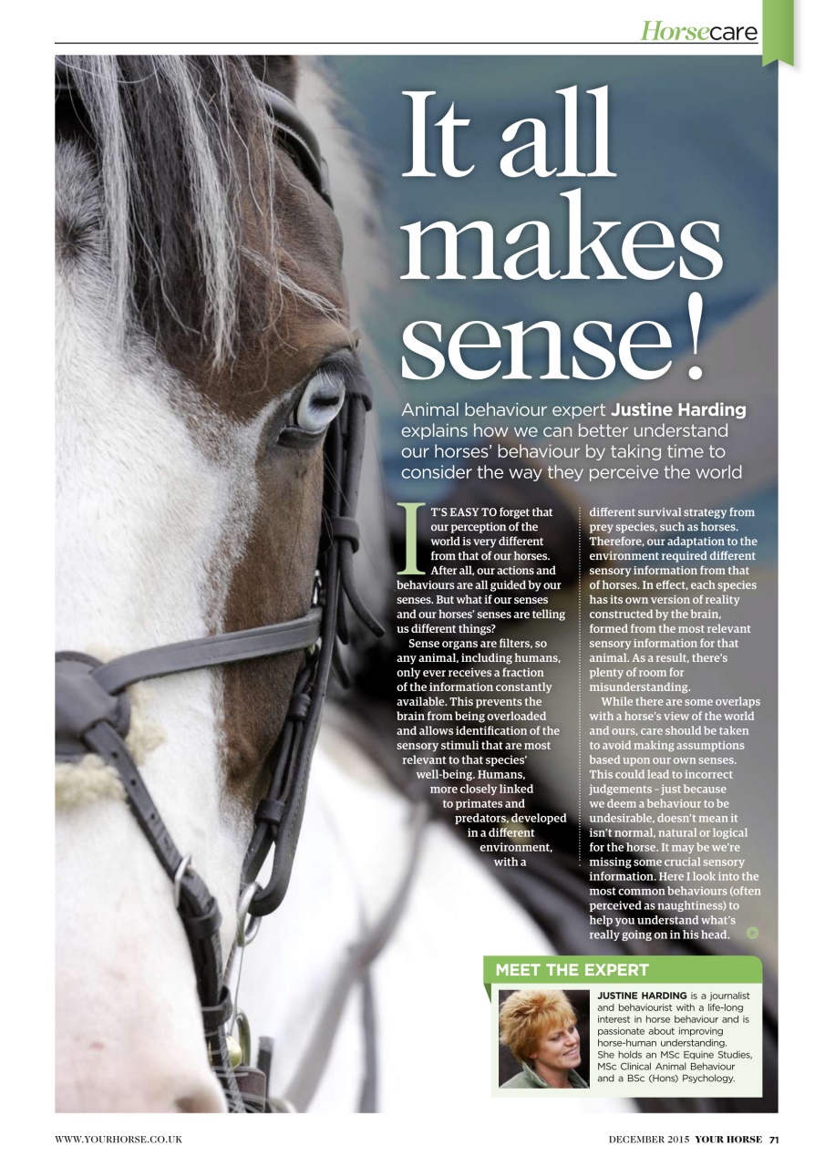 Your Horse Preview Pages